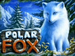 Polar Fox slot