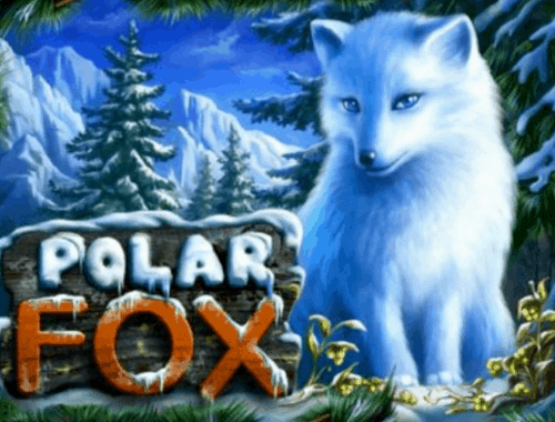 Polar Fox